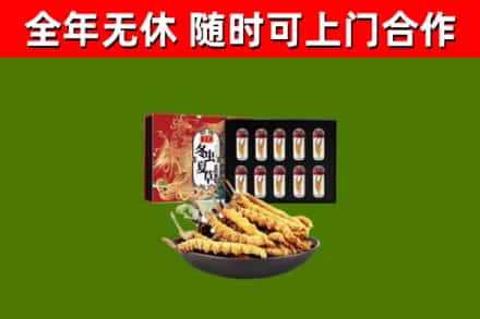 开州区回收冬虫夏草价格
